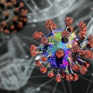 Coronavirus, scoperta la "porta d'ingresso" nelle cellule umane: nuovo farmaco bloccherà qualsiasi variante