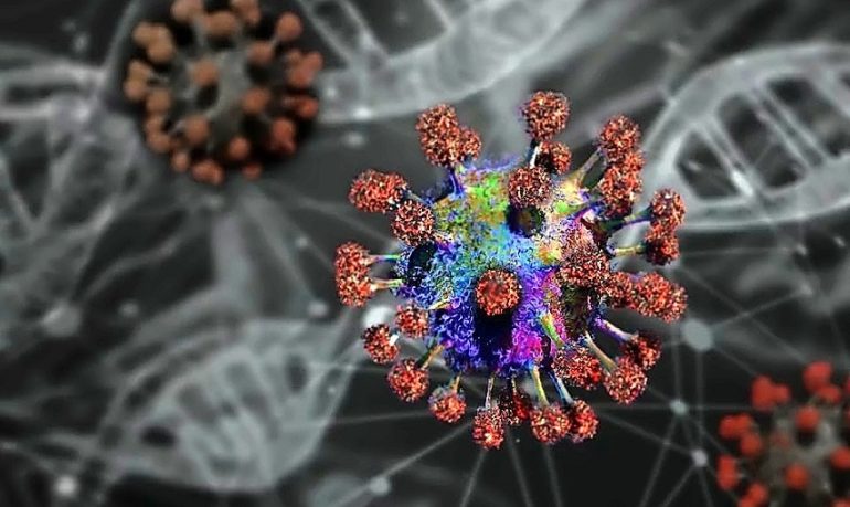 Coronavirus, scoperta la "porta d'ingresso" nelle cellule umane: nuovo farmaco bloccherà qualsiasi variante