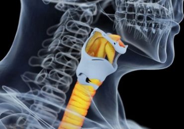 Trapianto di trachea: nuova frontiera della chirurgia toracica. Gli esperti: "Una rivoluzione anche per l'emergenza Covid"