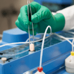 Coronavirus, Fda autorizza uso di emergenza della pillola Pfizer