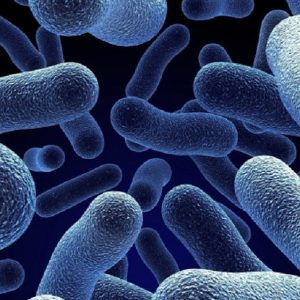 Infezioni emergenti e batteri multiresistenti: di fronte alle nuove minacce è prioritaria una rete infettivologica
