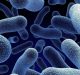 Infezioni emergenti e batteri multiresistenti: di fronte alle nuove minacce è prioritaria una rete infettivologica