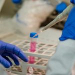 Coronavirus, identificata variante genetica resistente all'infezione grave