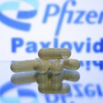 Coronavirus, via libera dell'Ema alla pillola Pfizer