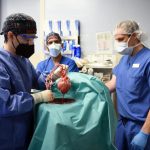 Il primo trapianto di cuore di maiale geneticamente modificato si è concluso con successo. A beneficiarne un 57enne 1
