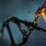 Tumori, il "Dna spazzatura" può attivare la risposta immunitaria dei linfociti T
