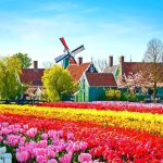 Aperta "la caccia” agli infermieri italiani: l'Olanda offre uno stipendio base di 2500 €