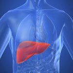 Ipertensione portale: pronte le nuove linee guida internazionali per una diagnosi precoce 2