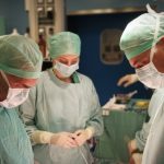 Bozza automatica 529