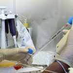 Coronavirus, di primaria importanza il ruolo dell'amminoacido L-Arginina 1