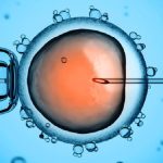 Fecondazione assisitita, Associazione Coscioni: "Disinteresse del Governo per coppie che vogliono fare famiglia"