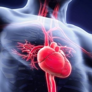 Scompenso cardiaco acuto: nuove frontiere di cura grazie a uno studio internazionale