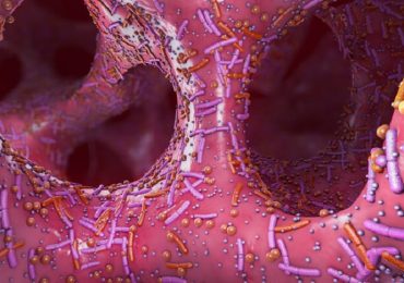 Tumori, il microbiota intestinale influenza la risposta all'immunoterapia