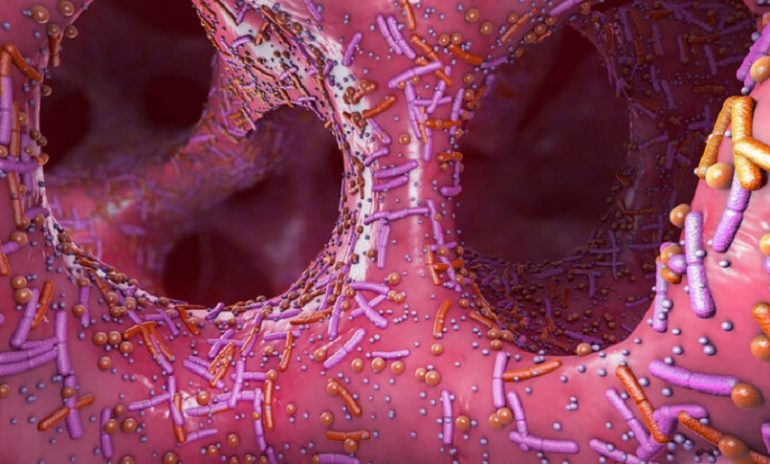 Tumori, il microbiota intestinale influenza la risposta all'immunoterapia