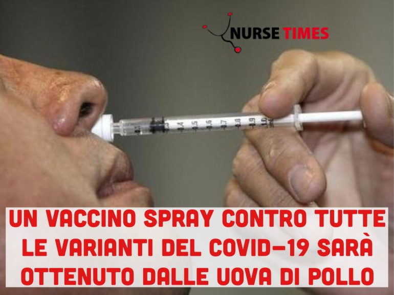 Un vaccino universale per via inalatoria per sconfiggere ogni variante del Covid-19 sarà ottenuto dalle uova di pollo