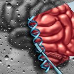 Alzheimer, individuate le 75 componenti genetiche coinvolte: svolta per nuove terapie?