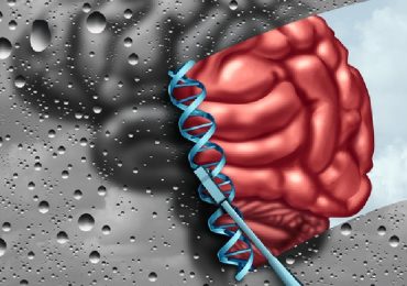 Alzheimer, individuate le 75 componenti genetiche coinvolte: svolta per nuove terapie?