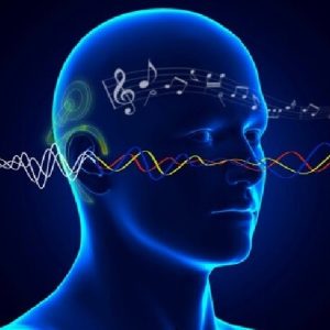 Sordità, sviluppata molecola in grado di ripristinare l'udito con la luce