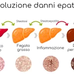 Esami del sangue per valutare lo stato di salute del fegato: quali sono e come interpretarli 1