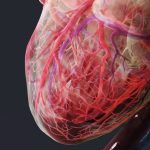 Stimolazione e resincronizzazione cardiaca, ecco le nuove linee guida