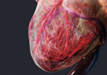 Stimolazione e resincronizzazione cardiaca, ecco le nuove linee guida