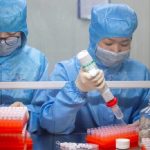 Focolaio di virus Langya in Cina: cos'è e come si trasmette