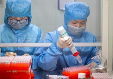 Focolaio di virus Langya in Cina: cos'è e come si trasmette