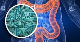 Infezioni batteriche intestinali: come riconoscerle
