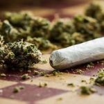Cannabis, il 22,3% degli studenti delle scuole superiori l'ha fumata