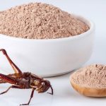 Farina di grillo, allergologi mettono in guardia: 2% italiani a rischio allergie