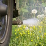 Smog alleato del polline, esperti SIAMA E SIAAIC: "Inquinanti ne alterano la struttura, potenziandone gli effetti"