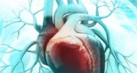 Infarto, stimolazione di proteina BDNF limita danno a cellule cardiache