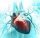 Infarto, stimolazione di proteina BDNF limita danno a cellule cardiache