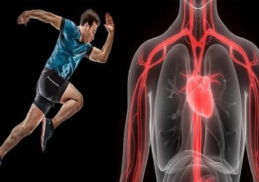 Cardiomiopatia aritmogena: verso nuove terapie con l'alterazione dei livelli di calcio