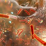 Antibiotico-resistenza: efficace la somministrazione intermittente di meropenem