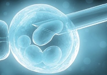 L'embrione non si impianta e niente gravidanza: perché?
