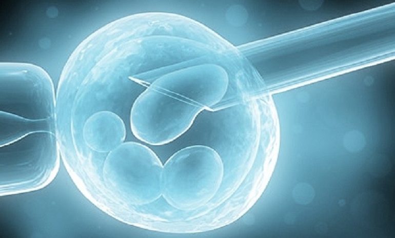 L'embrione non si impianta e niente gravidanza: perché?