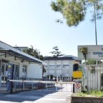 Ancona, trovate formiche su un'anziana paziente dell'Inrca