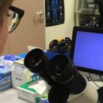 Diabete di tipo 1: nuova strategia terapeutica basata su nanotecnologie