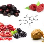 Infezioni resistenti agli antibiotici: un aiuto dall'acido ellagico