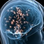 Alzheimer: promettente una terapia con cellule staminali