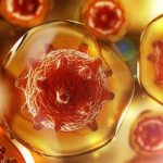 Hiv, scoperta nuova modalità di accesso nell'organismo