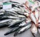 Istamina nel pesce: i rischi per la salute