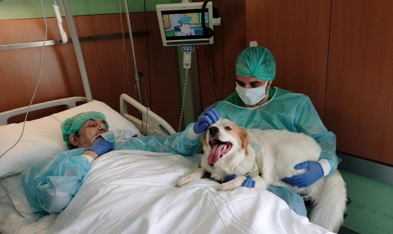 Niguarda, paziente rivede il suo cane a un anno dal ricovero: un incontro commovente