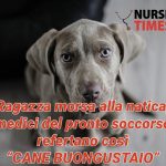 Ragazza morsa alla natica, medici del pronto soccorso refertano così "cane buongustaio"