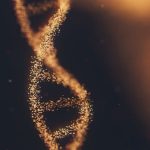 Tumori: come le radiazioni danneggiano il Dna