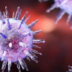 Virus di Epstein-Barr, promette bene un vaccino sperimentale