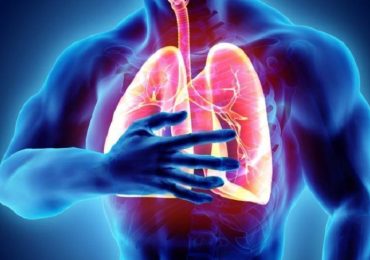 BPCO: possibile cura da autotrapianto di cellule polmonari?