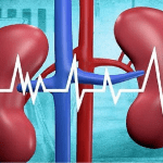 Congresso della Società Italiana di Nefrologia (SIN): a Torino dal 4 al 7 ottobre