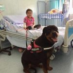 Dea, il rottweiler che guarisce con il cuore: una storia di pet therapy all'ospedale Santa Chiara di Pisa